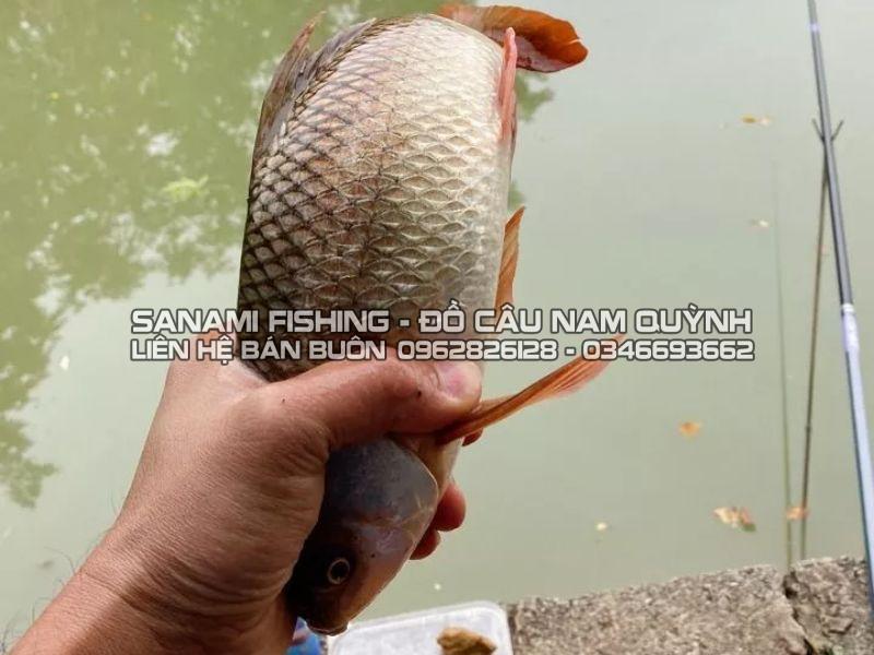 Kinh nghiệm thực tế khi đi câu cá giải trí
