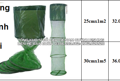 Rọng rẻ xanh bộ đội