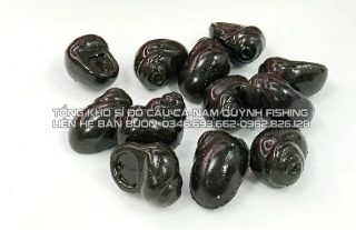 Mồi Câu Cá Hạt Đan Hình Ốc Hạt Nổi Hương Việt Quất, Hương Thịt Ốc Câu Trắm, Trôi, Chép Săn Hàng MO0