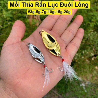 Rắn lục đuôi lông Mo59